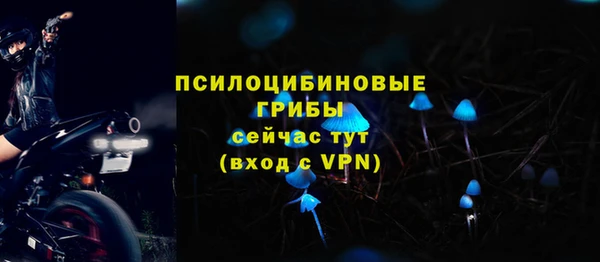 сатива Белокуриха