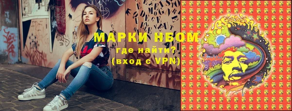 сатива Белокуриха