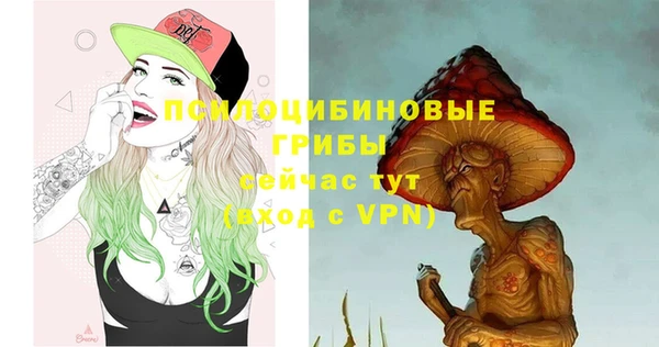 гидра Беломорск
