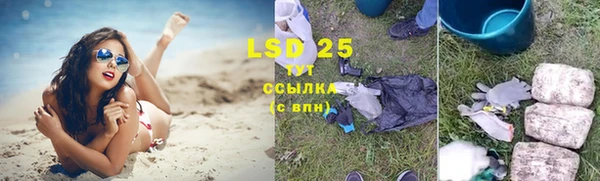 сатива Белокуриха