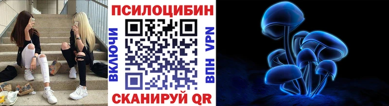 Псилоцибиновые грибы Psilocybe  где купить   Разумное 