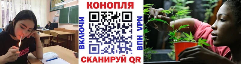 Шишки марихуана MAZAR  Разумное 